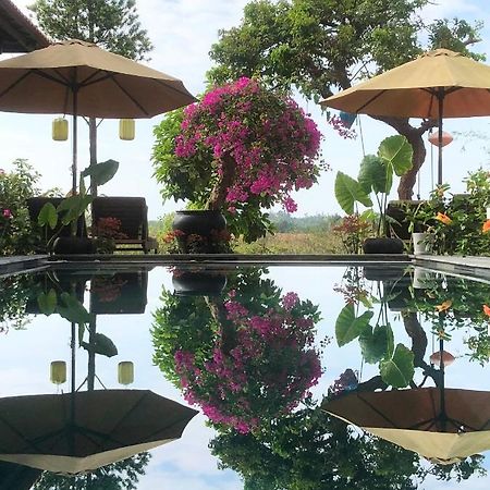 The Quin Riverside Villa Hội An Kültér fotó